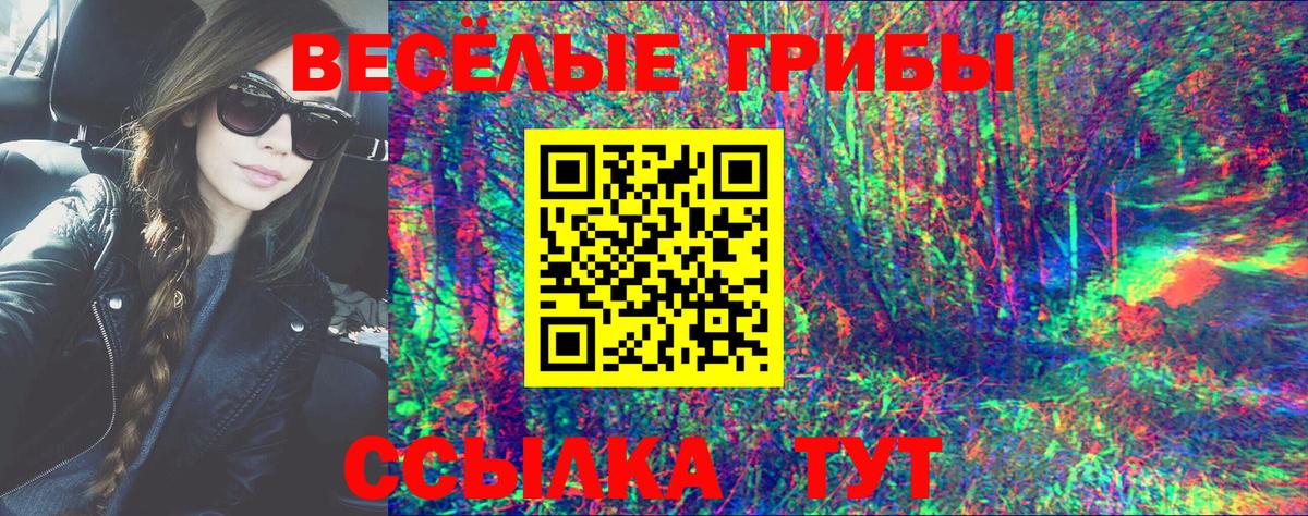 Псилоцибиновые грибы мицелий Арзамас